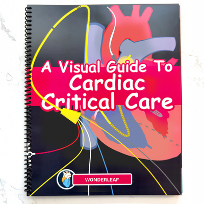A Visual Guide to Cardiac Critical Care