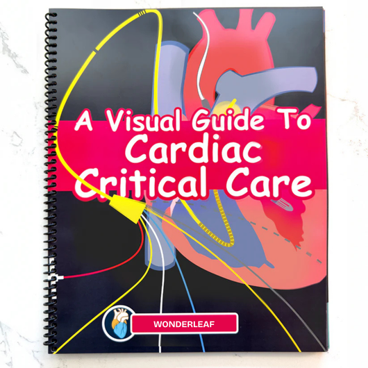 A Visual Guide to Cardiac Critical Care