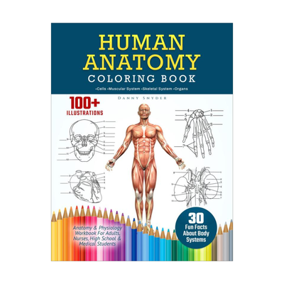 Human Anatomy Coloring Book