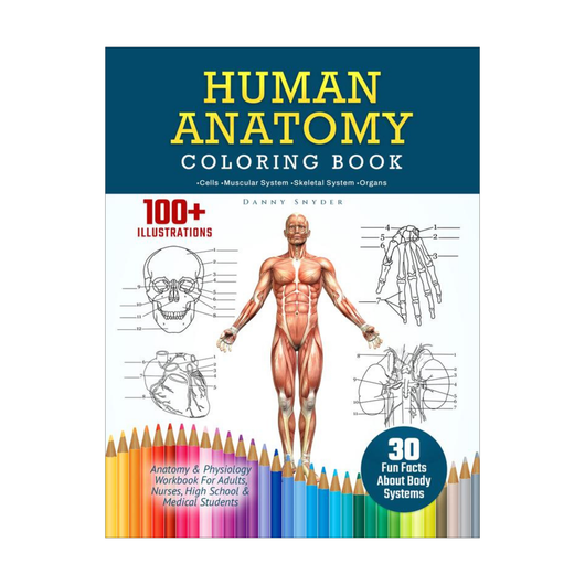 Human Anatomy Coloring Book