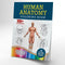 Human Anatomy Coloring Book