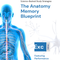 The Anatomy Memory Blueprint